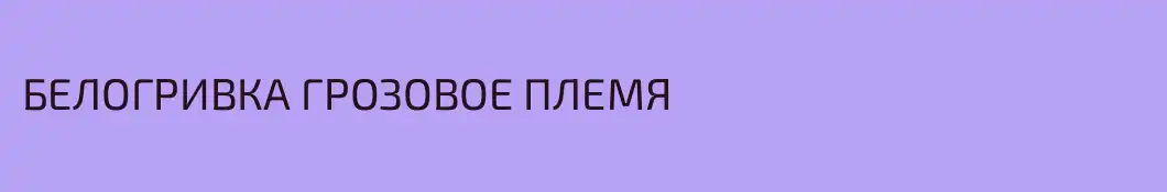 БЕЛОГРИВКА ГРОЗОВОЕ ПЛЕМЯ